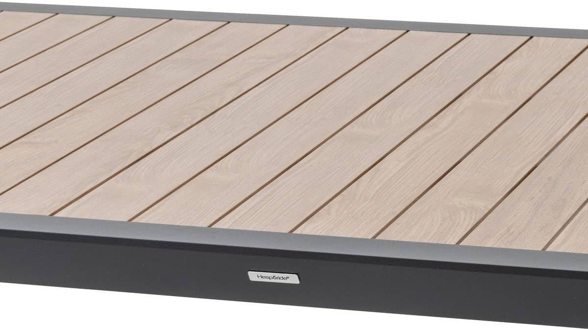 etezen - Evasion - table de jardin 12 places aluminium effet bois