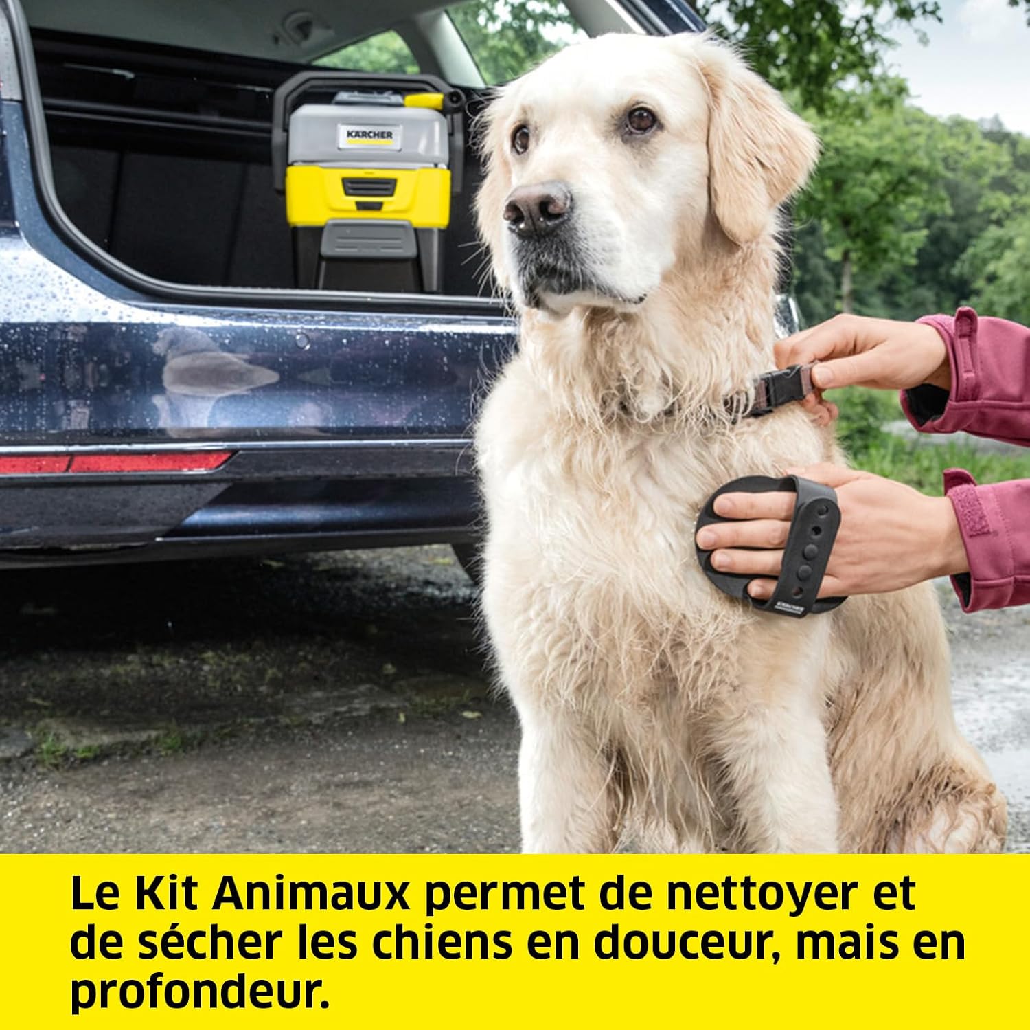 etezen Nettoyeur à Pression Mobile OC 3 + Kit Animaux, Débit : 2 L/h, Réservoir : 4L, Tuyau : 2,8 m, Buse à Jet Plat, Buse Conique, Brosse Pet, Serviette pour Animaux Domestiques, Boîte de Rangement