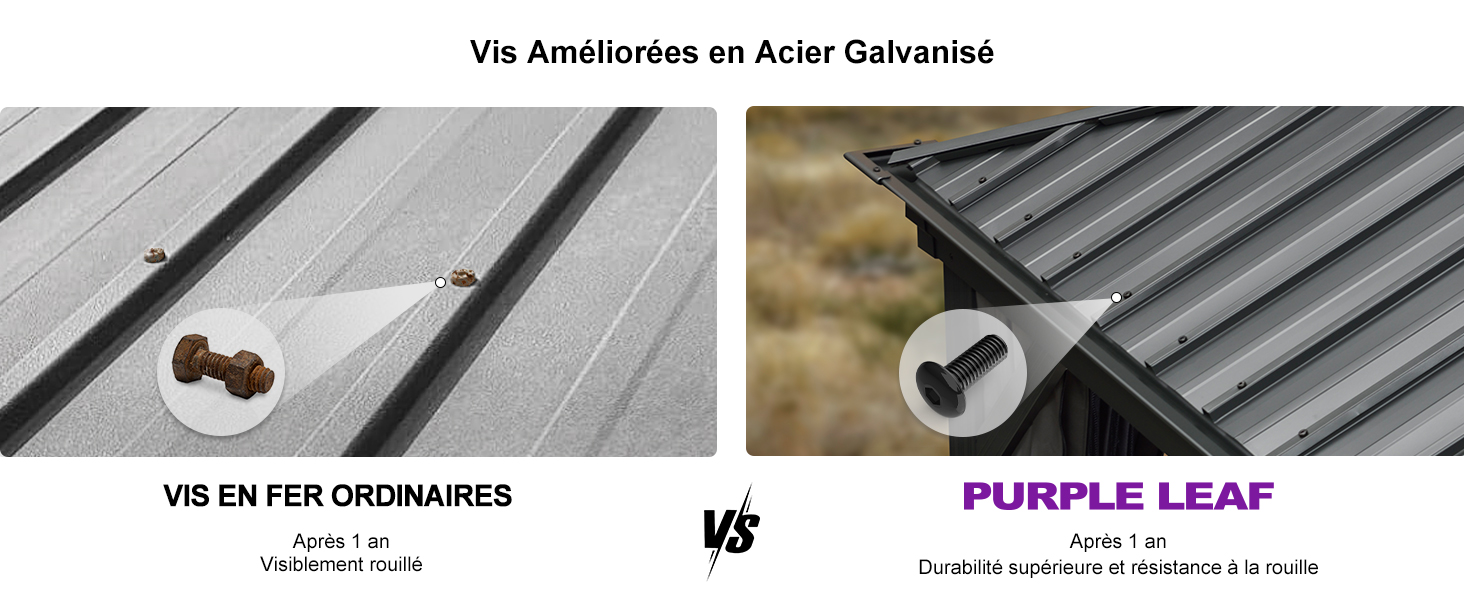 Comparaison de deux vis de toiture. La gauche montre une vis standard, la droite montre une vis « etezen » avec une tête plus large et une coloration violette