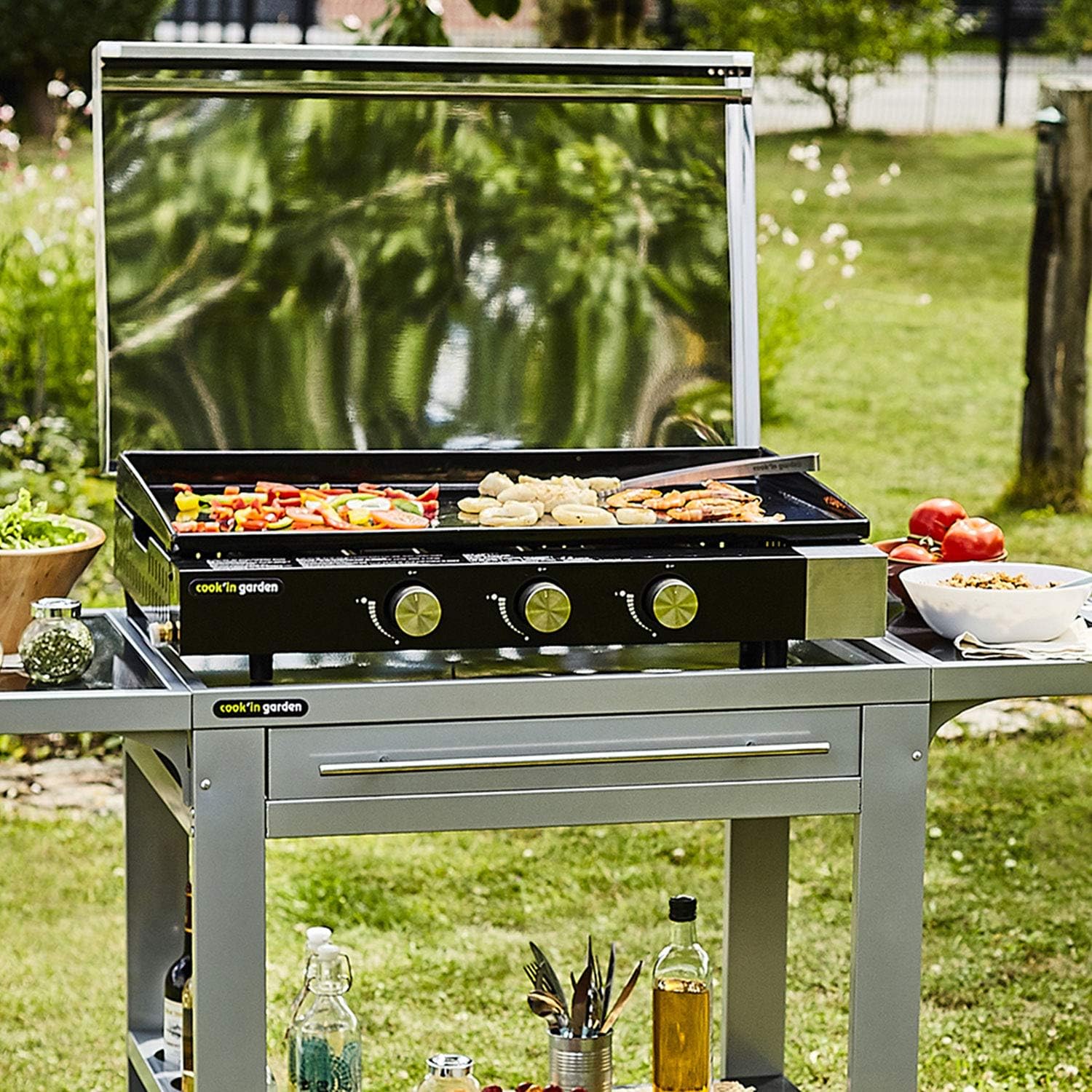 etezen - FINESTA - plancha gaz 3 brûleurs, plaque fonte, capot, récupérateur