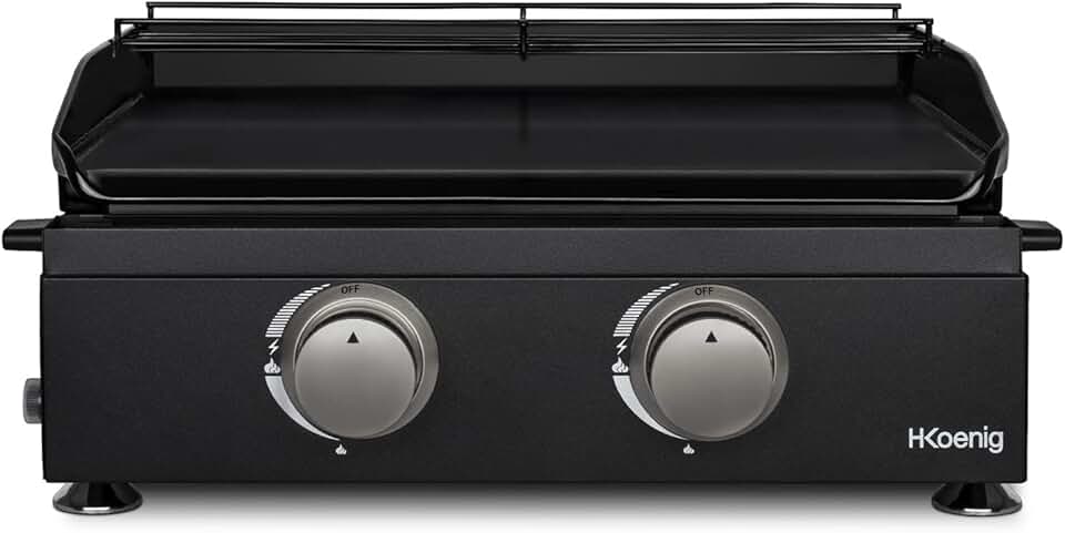 etezen - plancha gaz 2 brûleurs - acier inox, fonte, jusqu'à 350°C - PLX1022