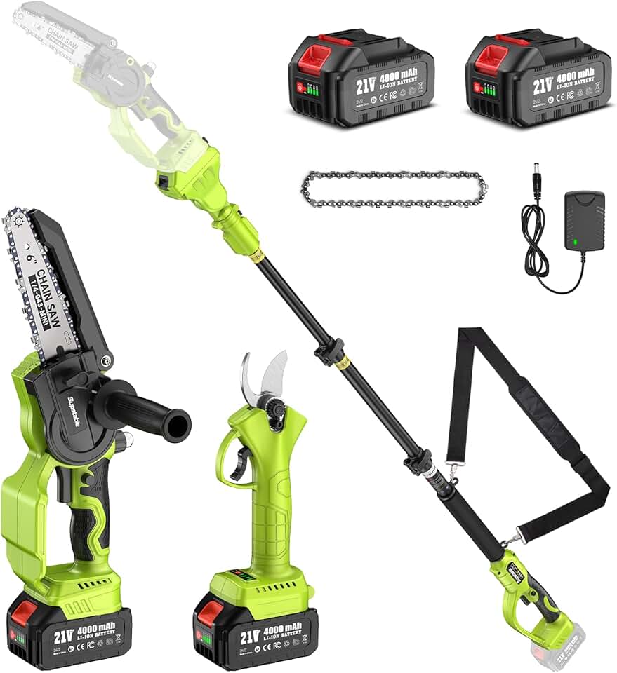 etezen - élagueuse sur perche 6 pouces, portée 4,6m, 2x4000mAh