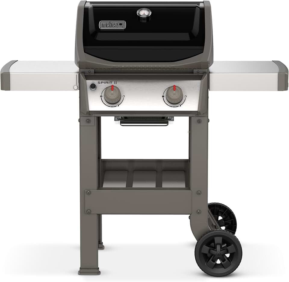 etezen - Spirit II E-210 - 51x46 cm - Barbecue gaz 2 brûleurs, grilles GBS, GS4, tablettes noir/argent
