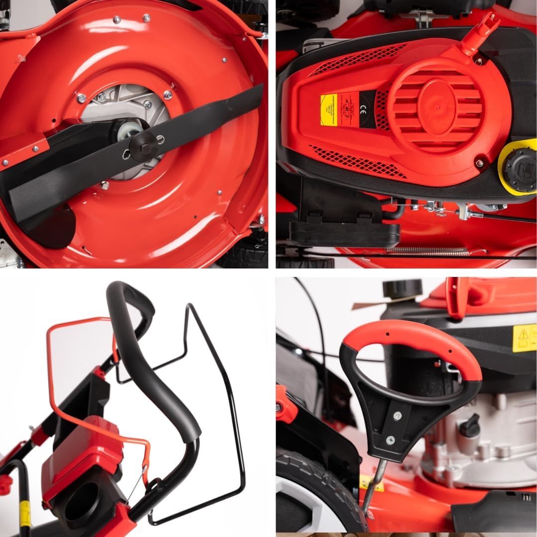 etezen Tondeuse à gazon à explosion automotrice 4in1-4 CV, Tondeuse à gazon thermique autoportée - Moteur 170cc 4 temps avec autotraction - Largeur de coupe 51 cm - Mulching - Panier de collecte 60L