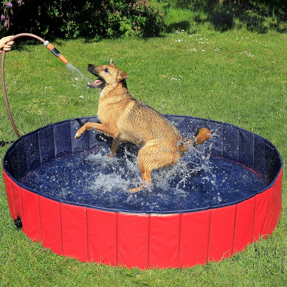 etezen - Piscine pliable Ø160x30cm - PVC antidérapant, bouchon vidange