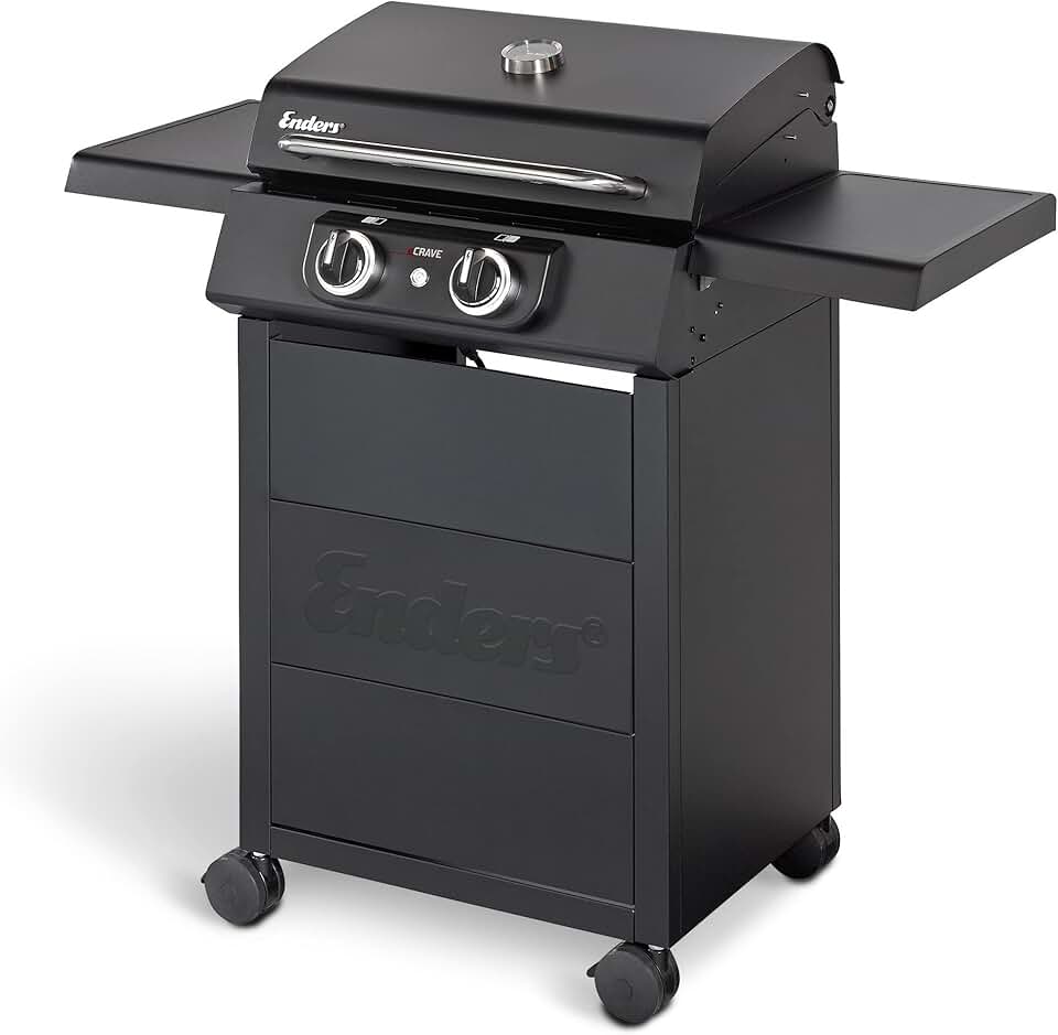 etezen - barbecue électrique eCRAVE 2 - fonte, 2 éléments, rangement