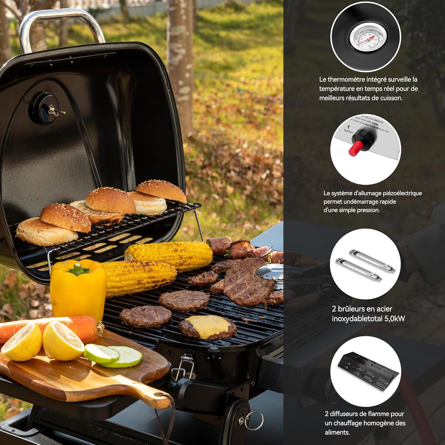 etezen - barbecue gaz portable - 48x37 cm - 2 brûleurs, tables pliantes, chariot détachable, 5kW